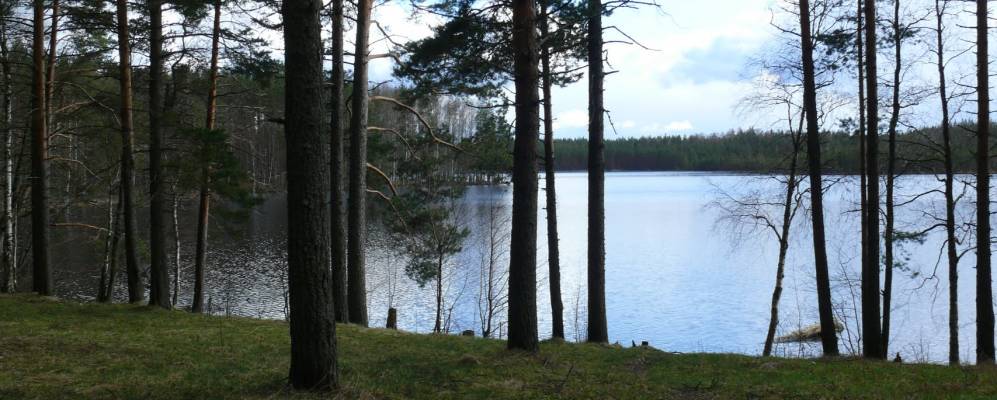 
            Фотография Зари