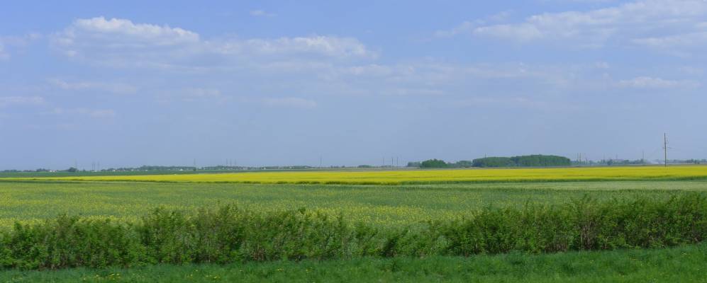 Фотография деревни Новобеличи