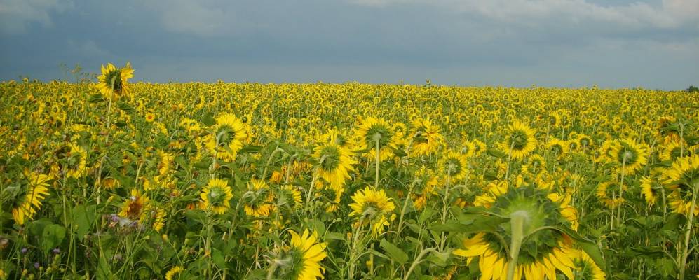 
            Фотография Федоровки