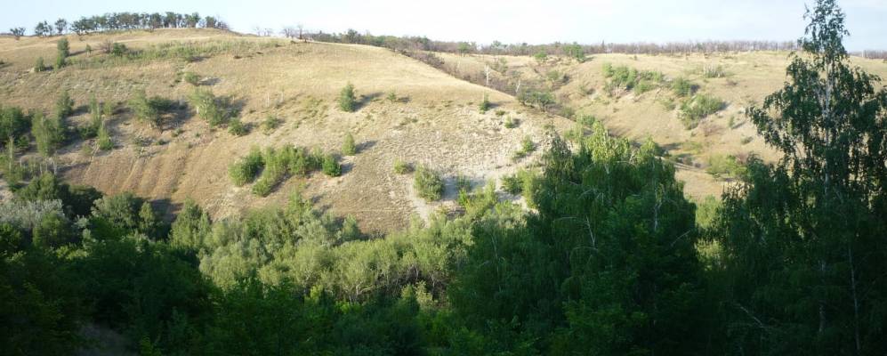 
            Фотография Щербатовки