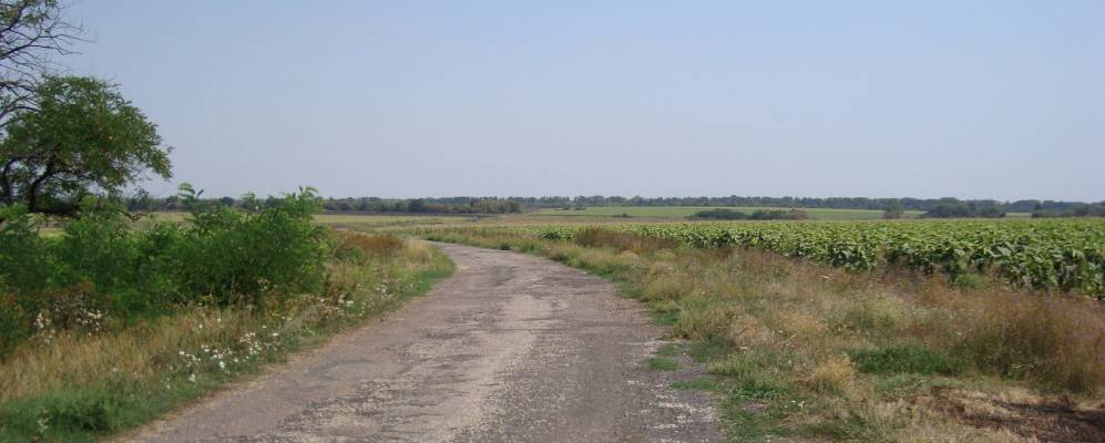 
            Фотография Лысой Балки