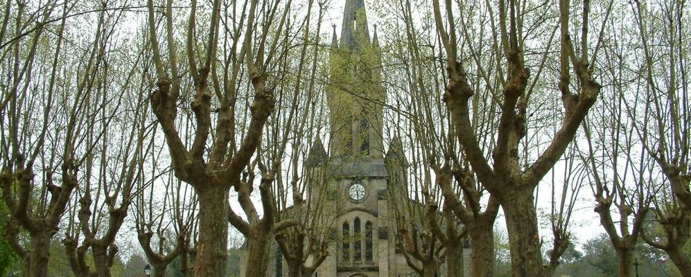 Фотография Люксе