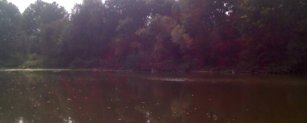 
            Фотография Лукьяново