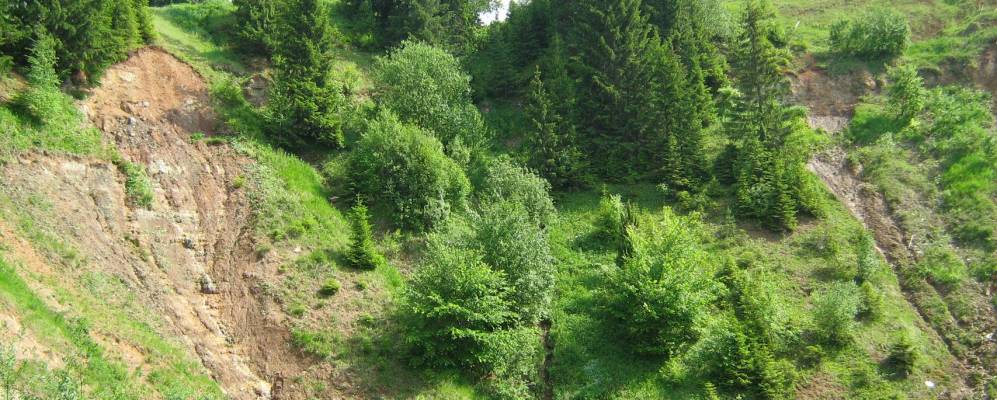 
            Фотография Шиншедура