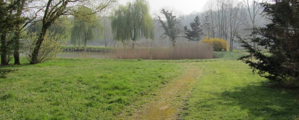 
            Фотография Сеи