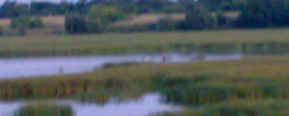 
            Фотография Козина