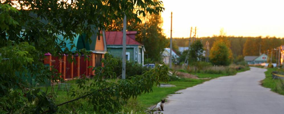 
            Фотография Макеенок