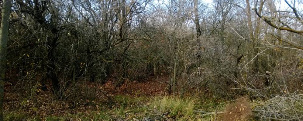 
            Фотография Молокановского