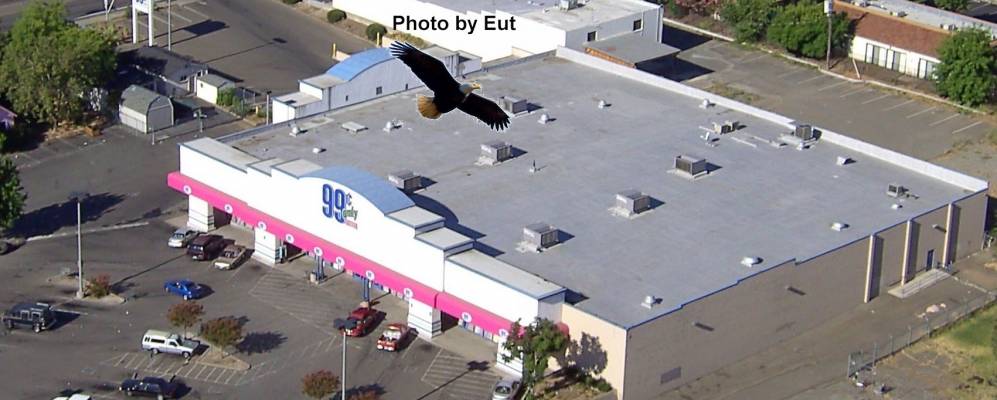 
            Фотография Кармайкла