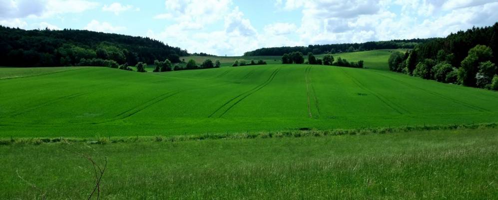 
            Фотография Висмансдорф