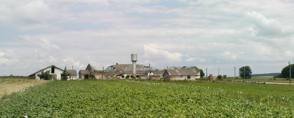 
            Фотография Вербовчика