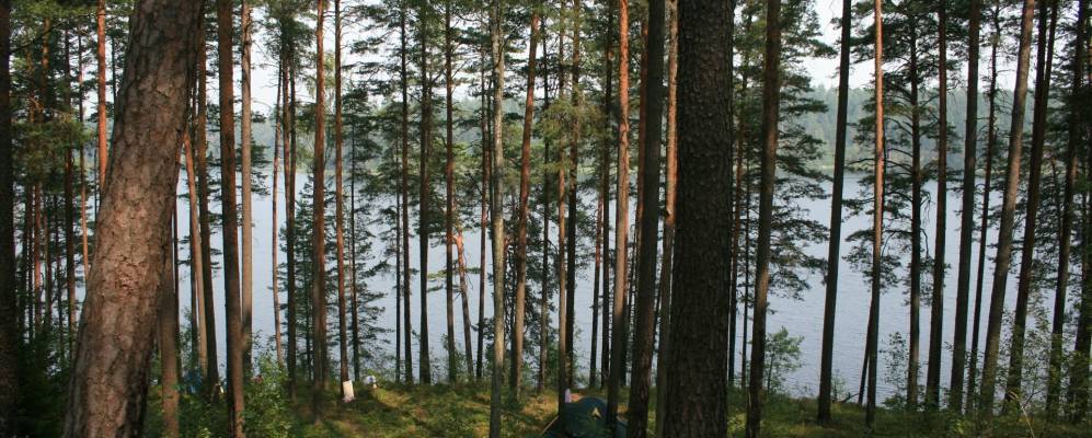 Фотография Бора