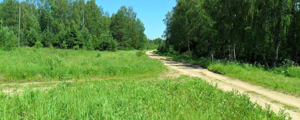 Фотография Мартынки