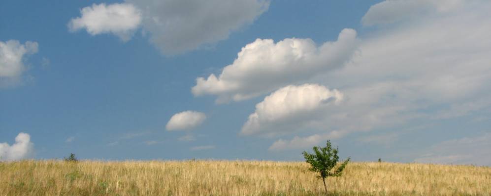 
            Фотография Нижнедеревечки