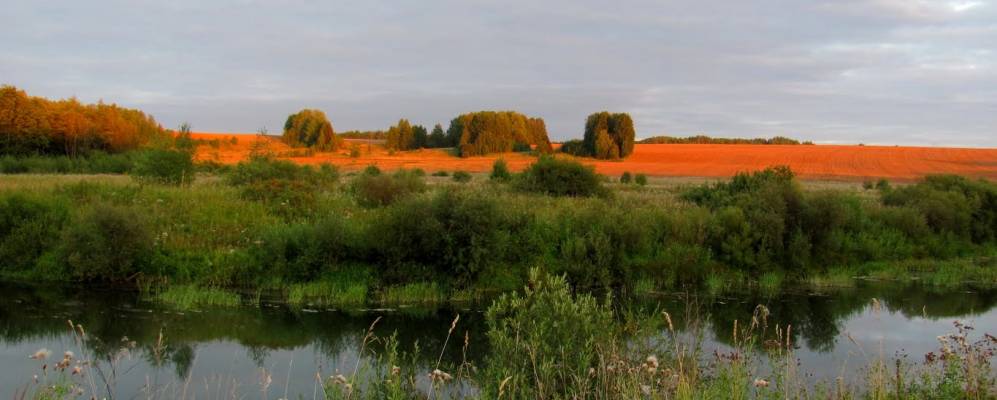 
            Фотография Чекмарей