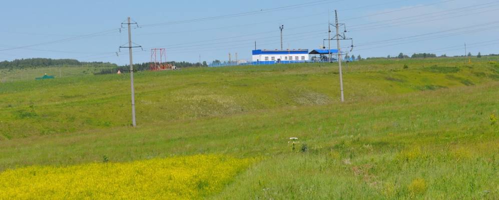 
            Фотография Филипповки