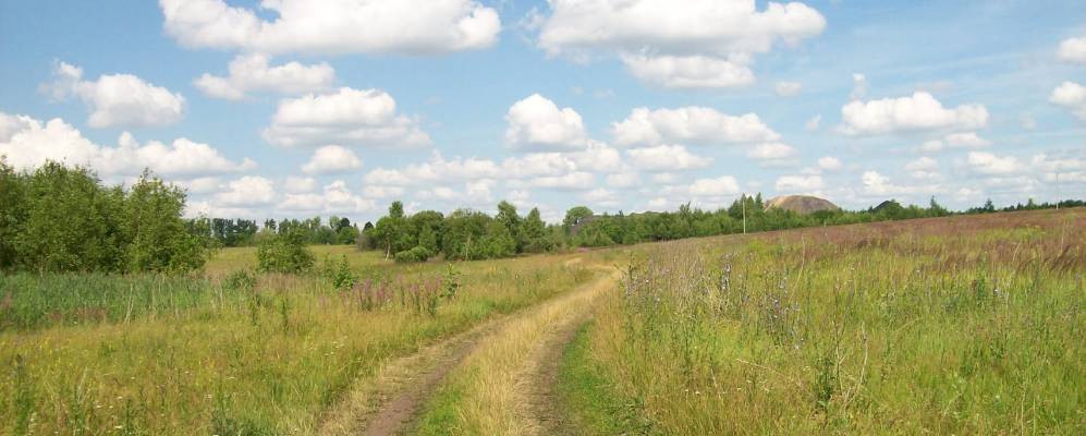 
            Фотография Рудного