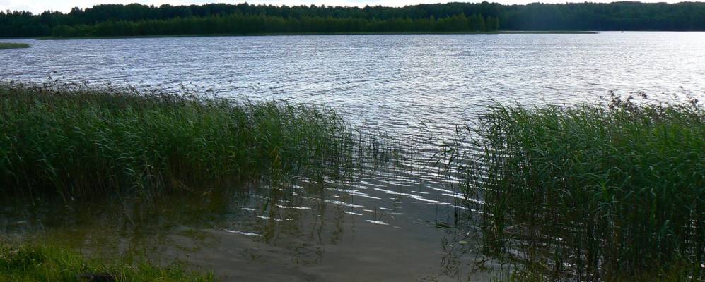 Фотография Переселья