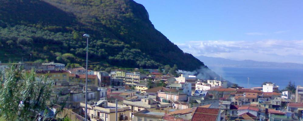 
            Фотография Палми