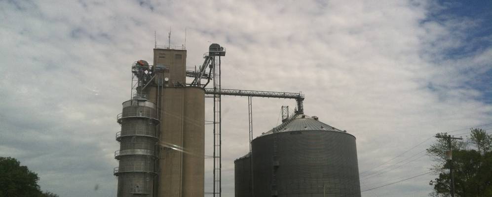 
            Фотография Толоно