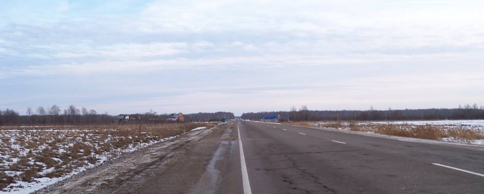 
            Фотография Дора