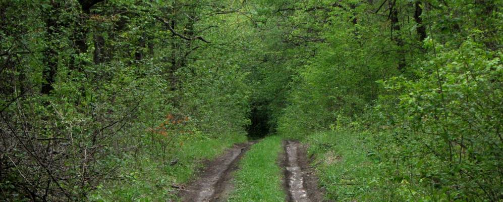 
            Фотография Гетмановки