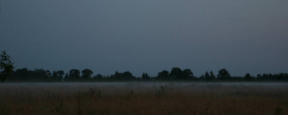 
            Фотография Малахей