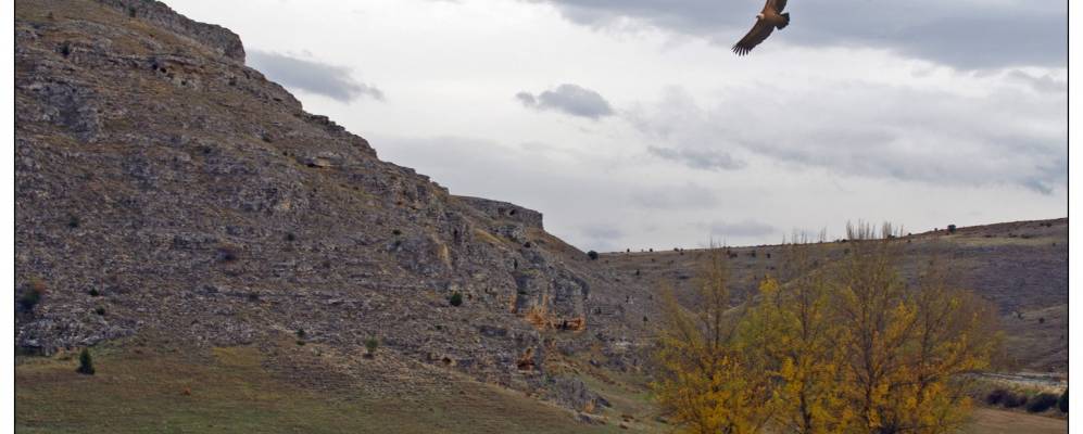 
            Фотография Кастросерна-де-Абахо