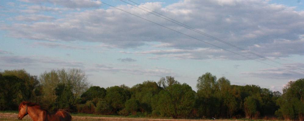 
            Фотография Дивина