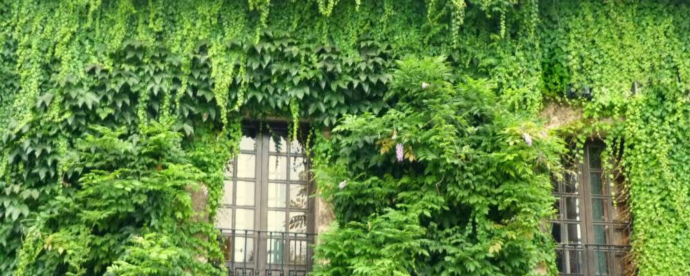 
            Фотография Сантильяны