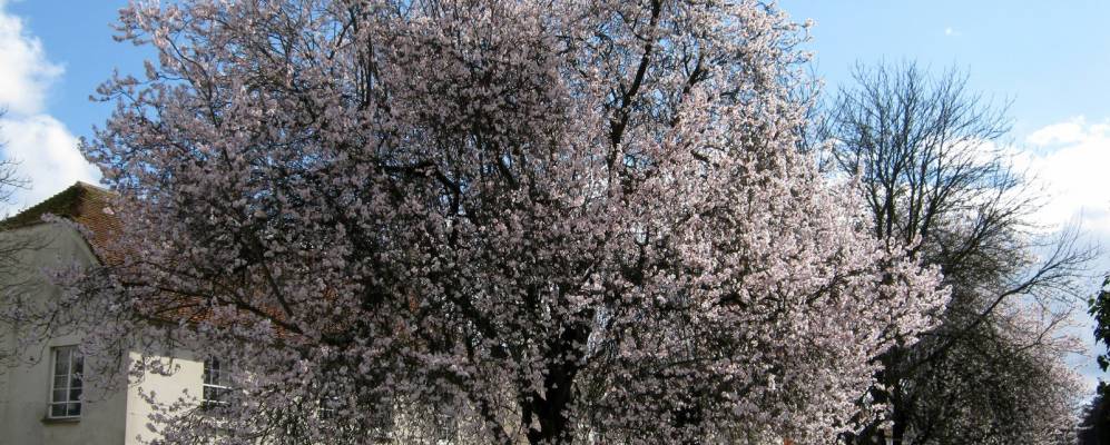 
            Фотография Овертона