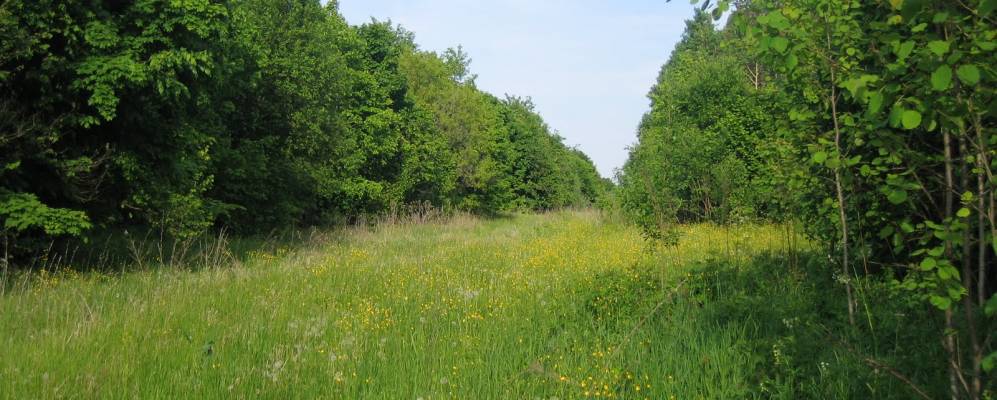 
            Фотография Бакчасарая