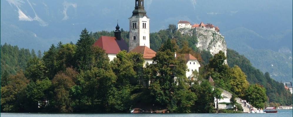 
            Фотография Бледа