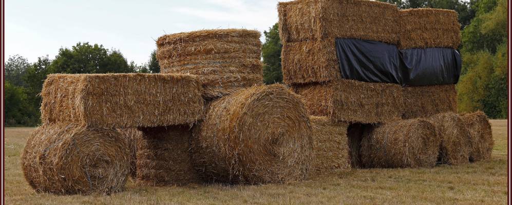 
            Фотография Верона