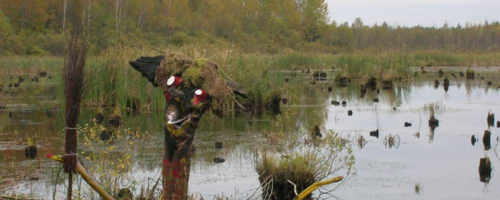 Фотография Наутя