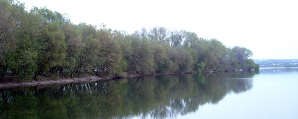 
            Фотография Кулевки