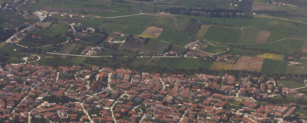 
            Фотография Плагиариона