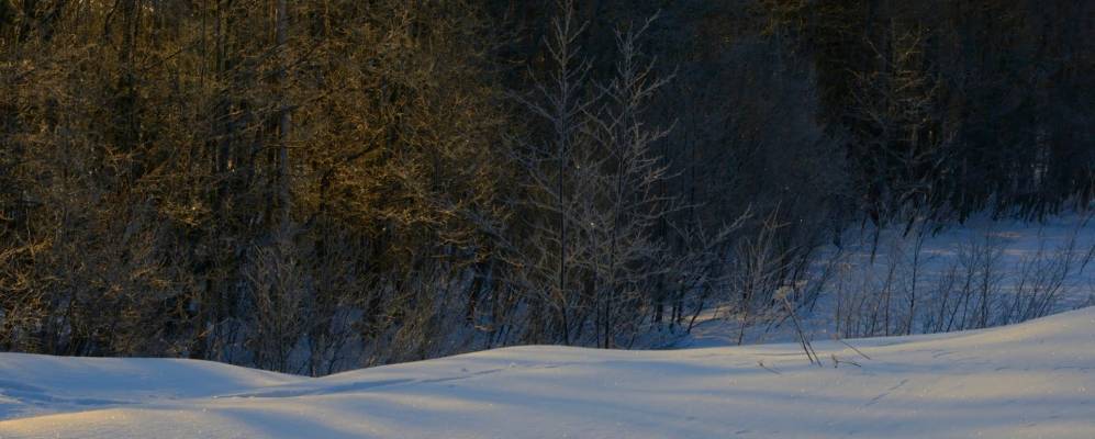 
            Фотография Петрино