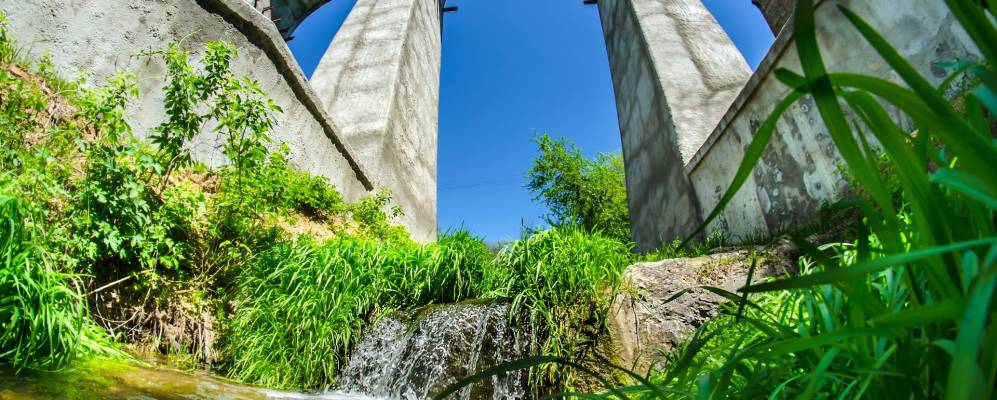 
            Фотография Бердянки