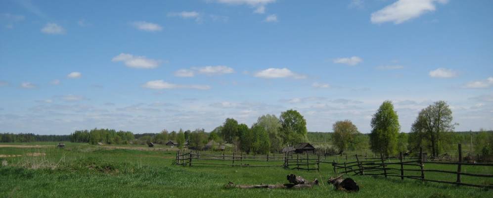 
            Фотография Соино