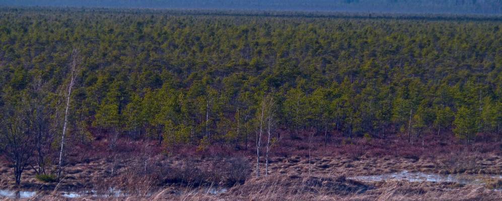 
            Фотография Худяково