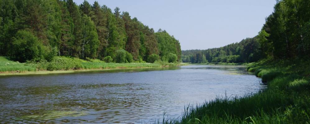 
            Фотография Маёвки