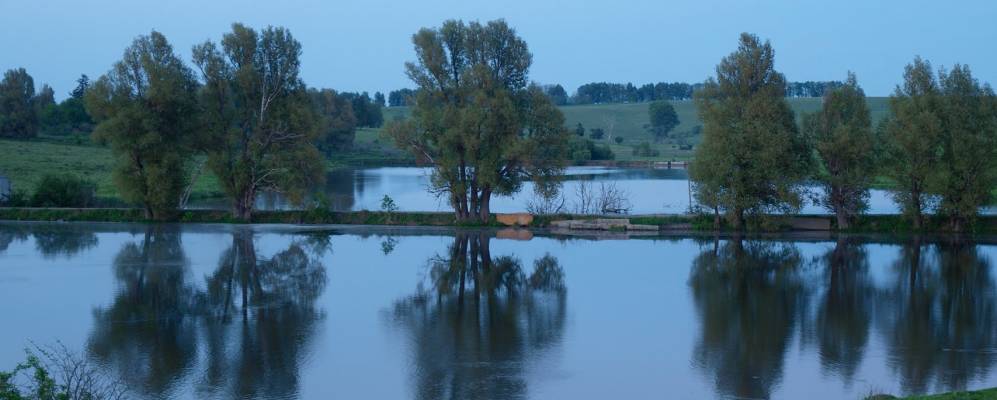 
            Фотография Гречинцы