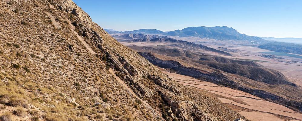 
            Фотография Хумильи