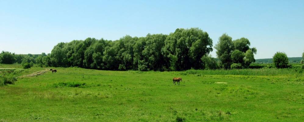 
            Фотография Великой Солтановки