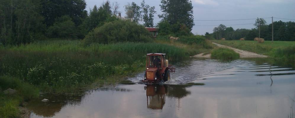 
            Фотография Мырасте