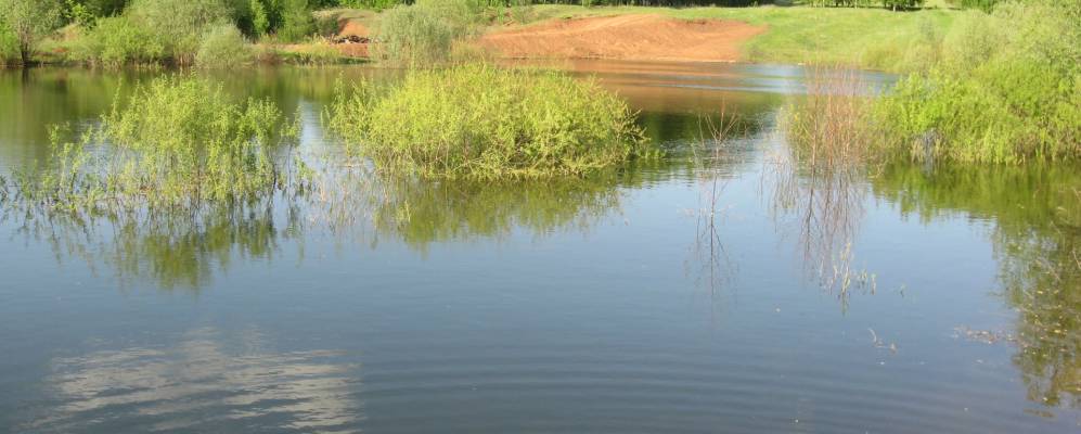 
            Фотография Старогусево
