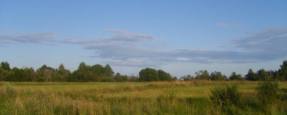 
            Фотография Клетной