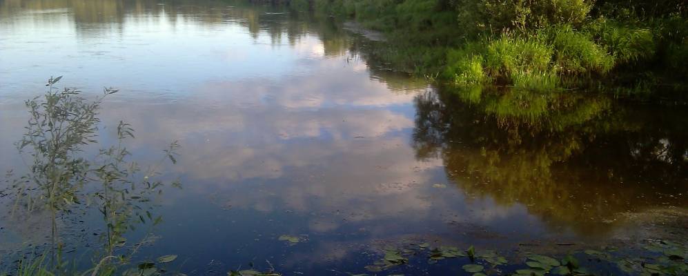 Фотография Гомзихи