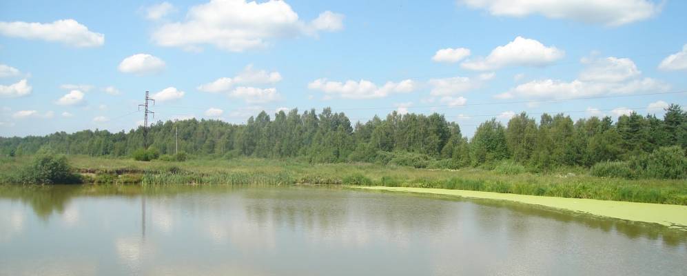 
            Фотография Молодино